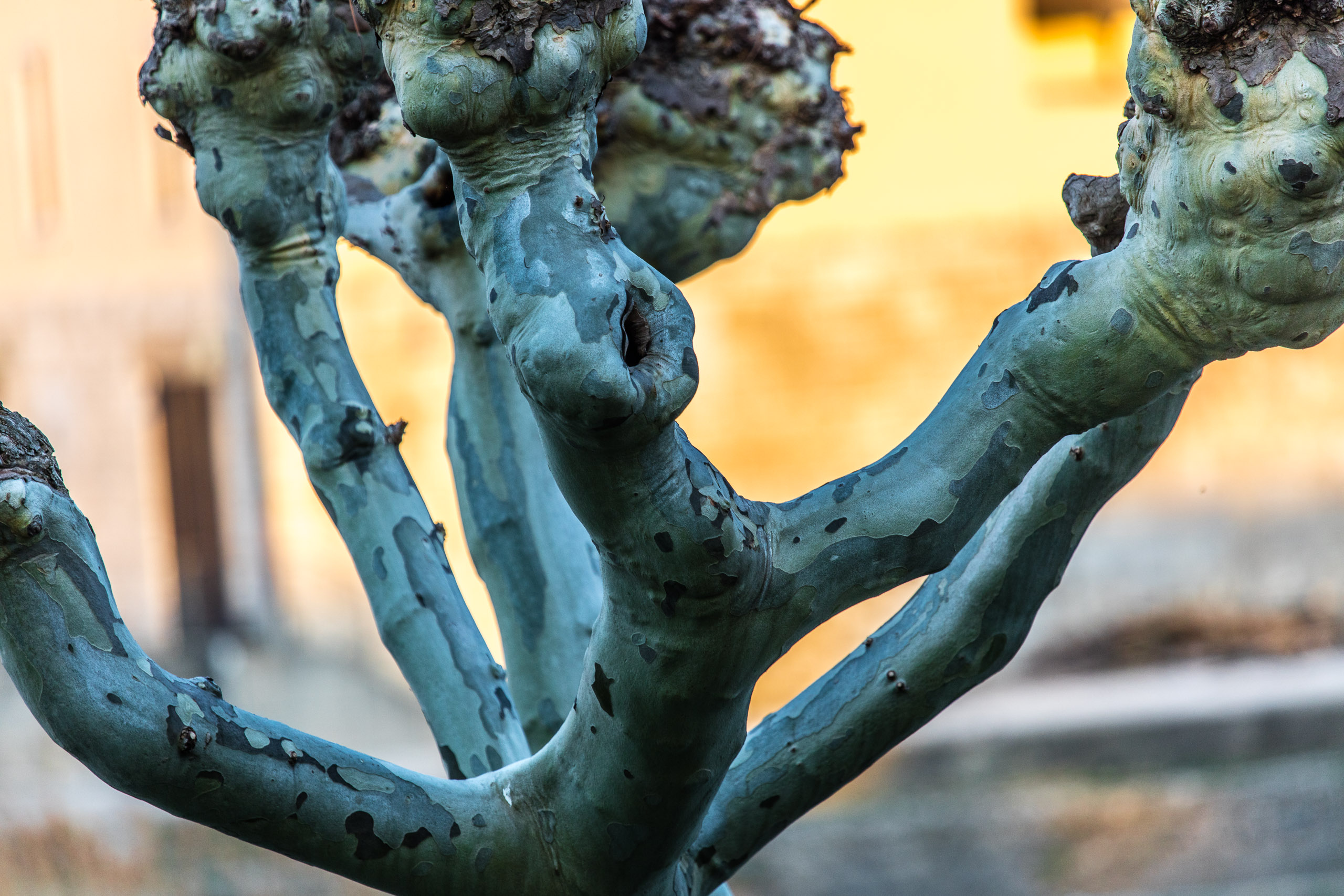 20190330180548 DP010225